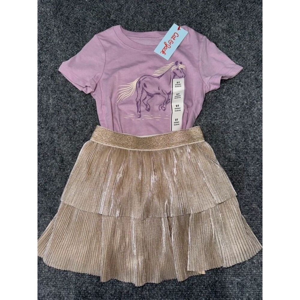 Girls Two Piece Set Size 2T